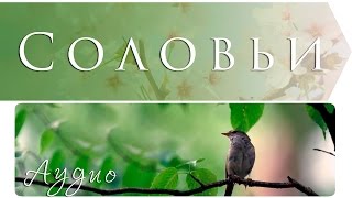 О мертвых мы поговорим потом Михаил Дудин