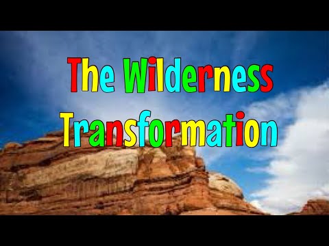 21 0117 The Wilderness Transformation