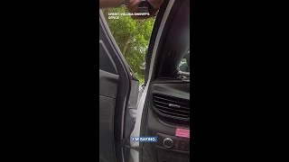 Armed murder suspect in custody after hours-long standoff in Florida, deputies say