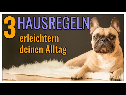 3 einfache Hausregeln für deinen Alltag - TGH 326
