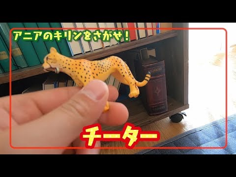 アニアみ～つけた！キリンをさがせ編【タカラトミーキッズ】 親子で楽しくあんしん | ファミリー | おはなし | 公式 | タカラトミー公式