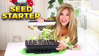 Best Seed Starting Trays in 2026 | LetPot Smart Seed Starter Kits