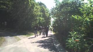 Steps For Life - D'oro