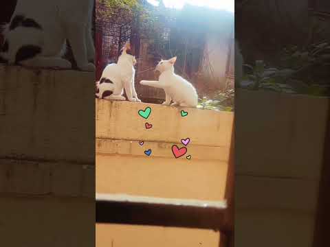 cute friends 😃😄