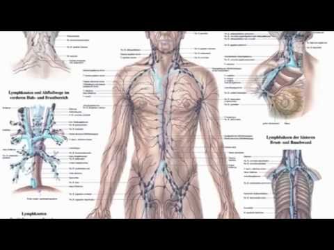 Coral Club: Hautkrankheiten: Pilze und Parasiten! Deutsch 2016 Autor: Dr.Prof.Olga Butakova