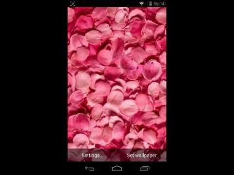 Flower Petals 3D Wallpaper HD Video