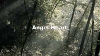 &quot;Bonnie Tyler-Angel Heart&quot;