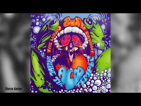 Liquid Sound Company - Inside the Acid Temple (2002)