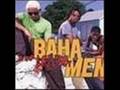 Baha Men Who Let The Dog S Out