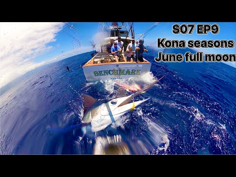 WATERMAN S07 EP9  JUNE BLUE MARLIN KONA HAWAII , the season rages on