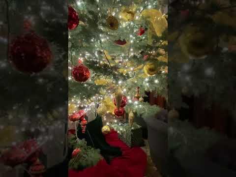 Promotional video thumbnail 3 for Bonnie Lowdermilk solo, duo, trio, 4-tet