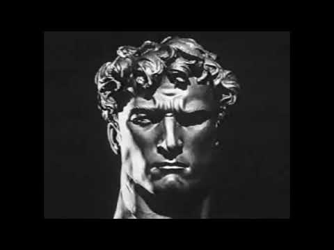 Chastushka - yungalligator