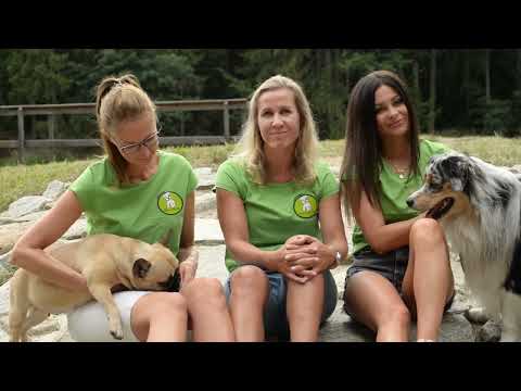 Podpořte tisk psího stolního a nástěnného kalendáře 2023