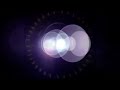 Sony Pictures Global Distribution Logo 2005 2010 Present