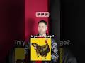 This Bird In Different Languages Turkey Languages Funny
