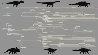 The Dinosaur Family Tree - ANIMATED