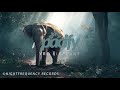 YRO - Elephant (Original Mix)