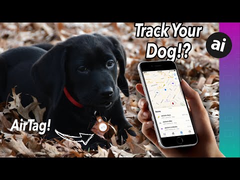 Can You Use AirTag to TRACK Your Pets!?! What About Kids!?