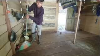 Download lagu Durian forest cleans up durian hut mother looks for traditional medicine in nature mp3 Download lagu Durian forest cleans up durian hut mother looks for traditional medicine in nature mp3