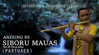 Download lagu Instrumen Paling Sedih | Andung Ni Siboru Mauas | Partuaek | Musik Penghantar Tidur, Seruling Andung mp3