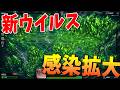 新ウイルスを感染拡大させて全人類を絶滅させたい - Plague Inc: Evolved