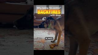 Why Being “In Control” BACKFIRES with Dogs #aggression #resourceguarding #dogtraining #dogs
