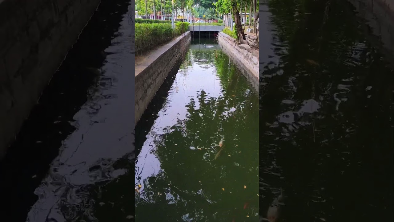 YouTube Short thumbnail