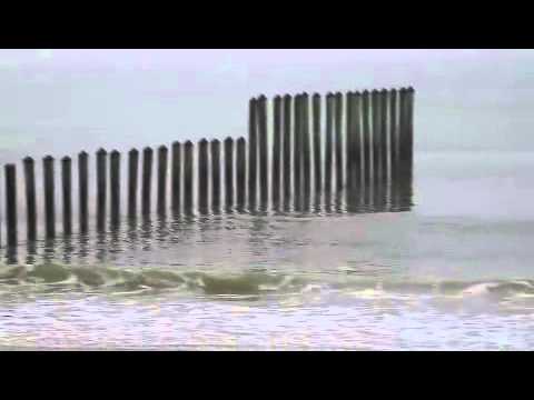 Surfline Poles Report 01 28 2014