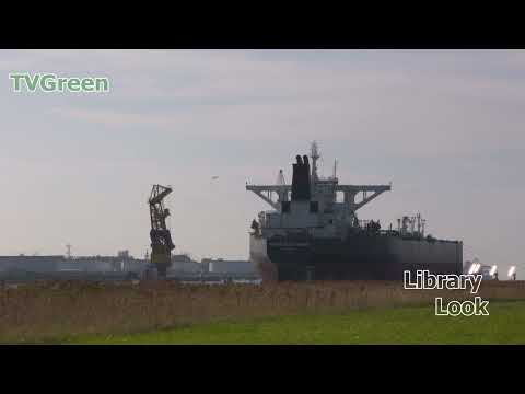 LibraryLook: Port of Rotterdam #-Shorts - Caland Kanaal