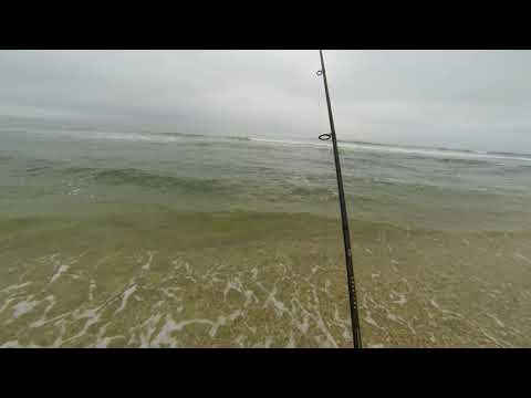 Fluke fishing from shore. P.B. 5.62 lb. Fluke. NBR Ep. 2 1080