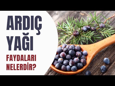 Ardıç Yağı faydaları nelerdir? #ModernAktar #ardıçyağı
