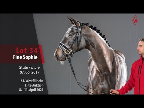 61. Westfälische Elite-Auktion Lot 34 Fine Sophie Stute v. For Romance I -  Sir Donnerhall I