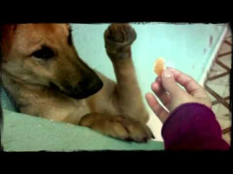 have fun B-)  (Created with @Magisto)