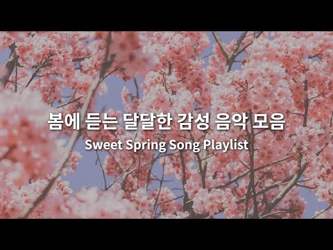 따뜻한 봄날, 감성적인 3,4,5월 플레이리스트 추천