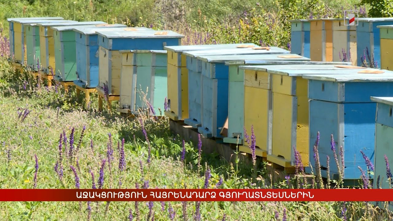 Աջակցություն հայրենադարձ գյուղատնտեսներին