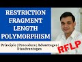 RFLP | Restriction Fragment Length Polymorphism - principle, procedure, advantages & disadvantages