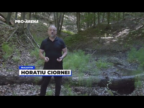 Șicana de la părăul Coropceni și dealul de nisip din pădurea ieșeană