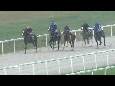 2019.07.28. 01. futam - NYERETLEN KÉTÉVESEK VERSENYE (IV.kat.) (szintetikus pálya)