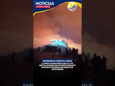 Voraz incendio forestal alcanzó un restaurante y generó momentos de tensión en Ábrego