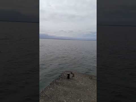 el Estor, lzabal ,Guatemala la cuna del manaty