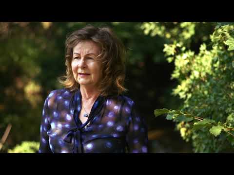 Now Is The Time For Timber - Documentary