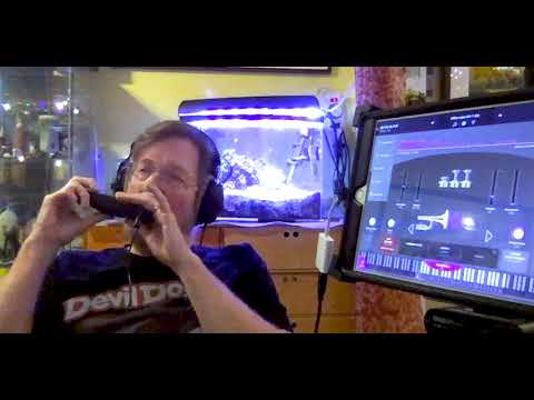 Jason  Keene plays The Lekholm DM48 the & Audio Modeling's Swam "Trumpet" App for IOS! (BETA)