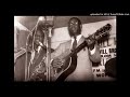 ELMORE JAMES - GOT TO MOVE