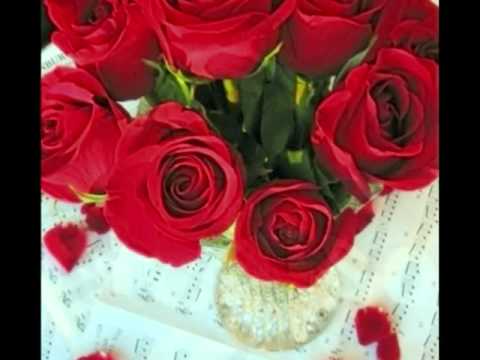 Cover Versions Of Could I Have This Dance By Anne Murray Secondhandsongs Cover Versions Of Could I Have This Dance By Anne Murray Secondhandsongs