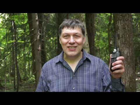 Рации для охоты и рыбалки, походов - тест работы в лесу President Randy III, Alan 42, Штурман-200