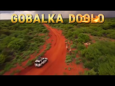 GOBALKA DOOLO| DAGMADA DARATOOLE | Deegaanka Soomaalida