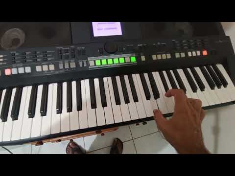 Junco - Tony e Ju