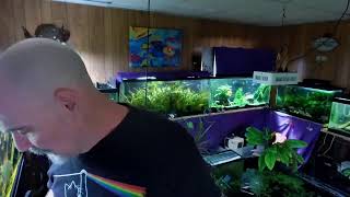 125 Gets A Haircut (Live)