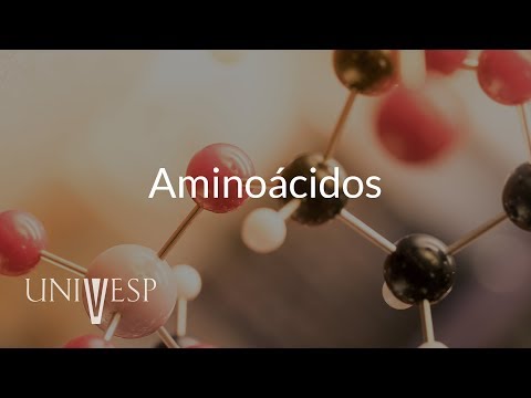 Bioquímica - Aminoácidos | Aula 6