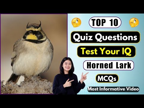 Horned Lark Iq Test 🐦 | Can You Score 10/10 On This General Knowledge Challenge | Helian GK Quiz